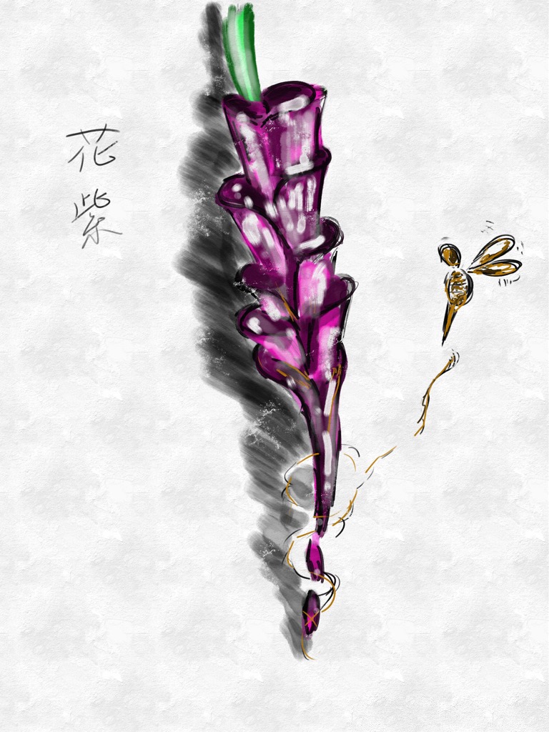 華紫（A4サイズ）